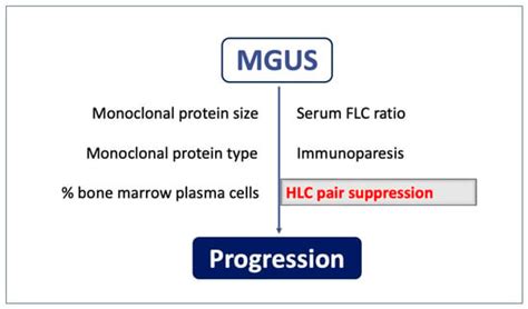 Laboratory and Clinical Settings of Heavy/Light Chain (HLC) Assays in ...