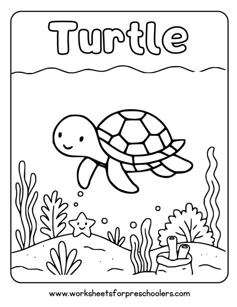 Turtle Coloring Page Preschool Printable