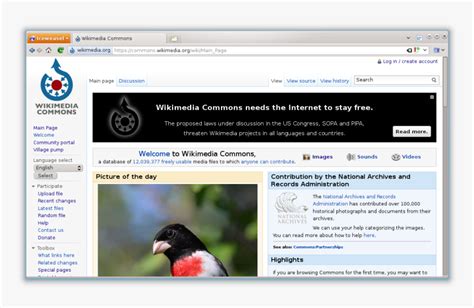Wiki Commons 的图像结果