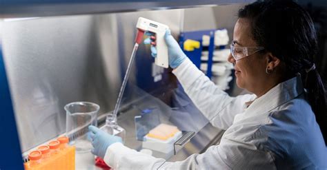 Image result for In Vitro Biocompatibility Test