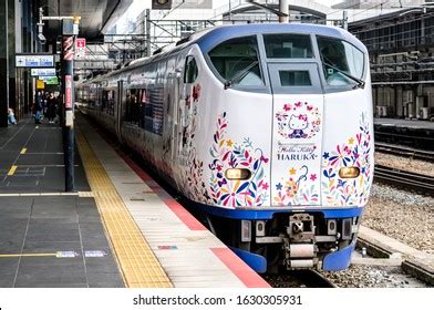 Image result for Hello Cat Cartoon