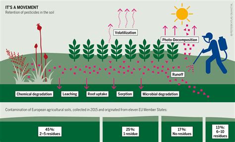 Soils: impact on the invisible ecosystem | Heinrich Böll Stiftung | Brussels office - European Union