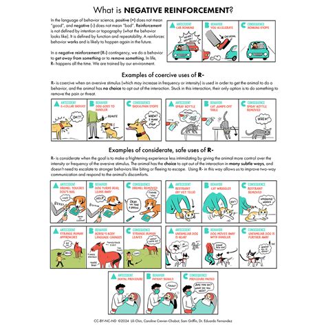 Image result for Negative Reinforcement Examples