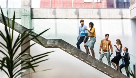 SAP Success 的图像结果