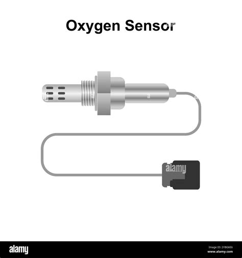 O2 Sensor Working Principle 的图像结果