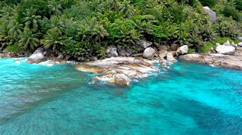 Image result for Free Loop Video Clips