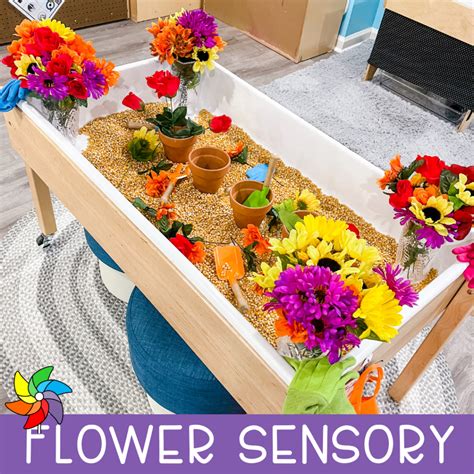 100 Sensory Table Ideas
