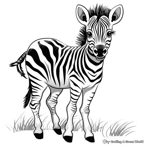 Zebra Coloring Pages - Free & Printable!