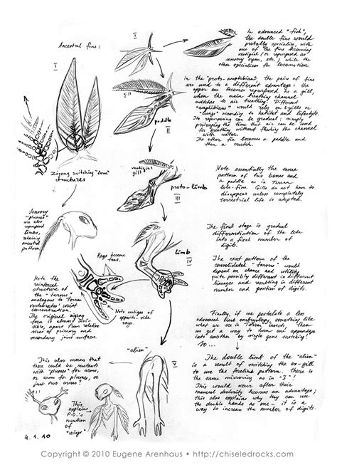 Image result for Alien Limb