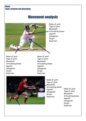 Image result for Sporting Examples of Movement