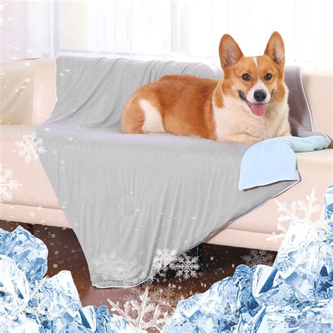 Amazon.com: MARUNDA Premium Dog Cooling Blanket - Double Colors Design ...