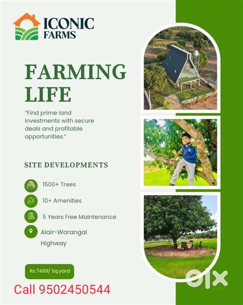 Farm Plots - Lands & Plots - 1823927847