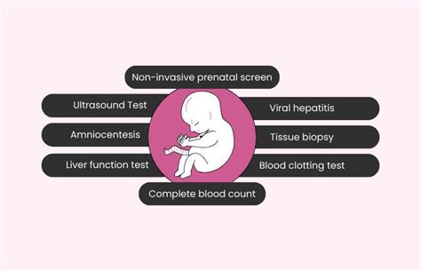 Image result for How AFP Test Done