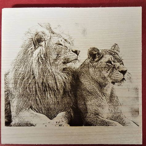 Image result for Using Imag R