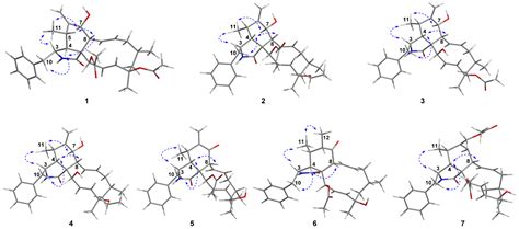Cytochalasans from the Endophytic Fungus Phomopsis sp. shj2 and Their ...