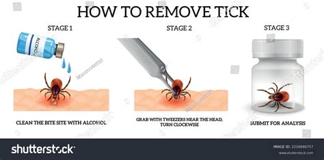 Spider Web Removal 的图像结果