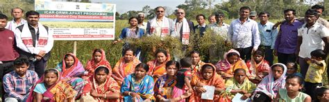 RMKP!-Rapeseed-Mustard Knowledge Management Portal, Assam