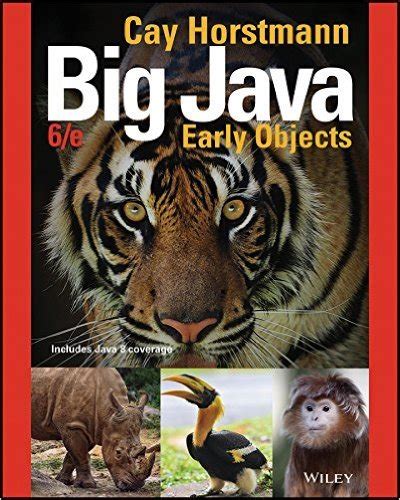 Image result for Big Java