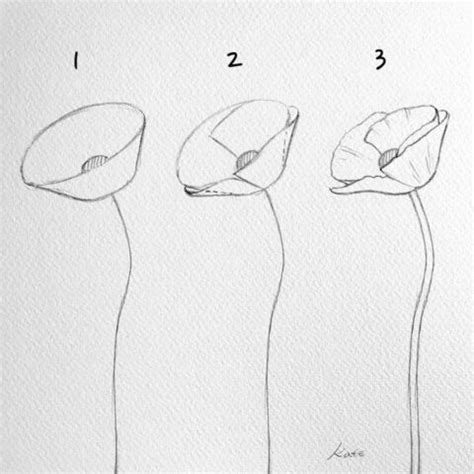 Image result for Drawing Tutorial for Flower