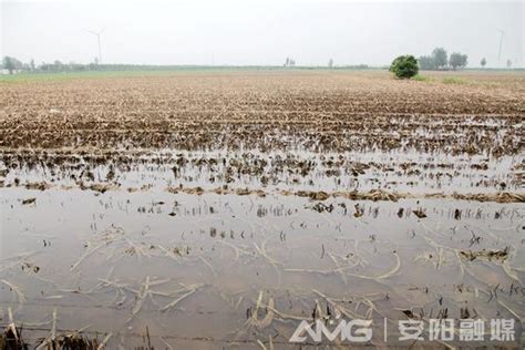 优享资讯 | 强降雨导致江西江河水位上涨 九江市部分农田民房被淹