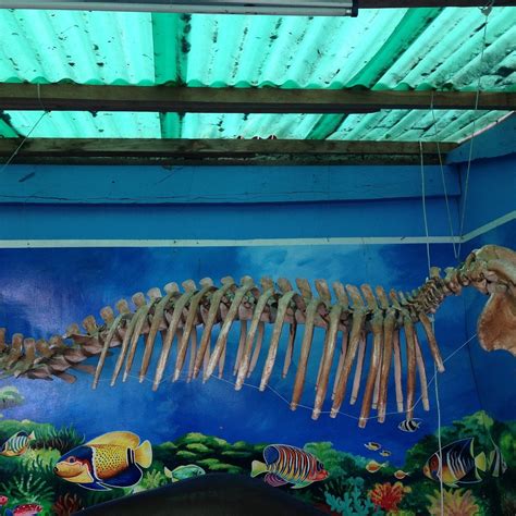 BELMAR ECO PARK AND BEACH RESORT (Glan) - Hotel Reviews & Photos ...
