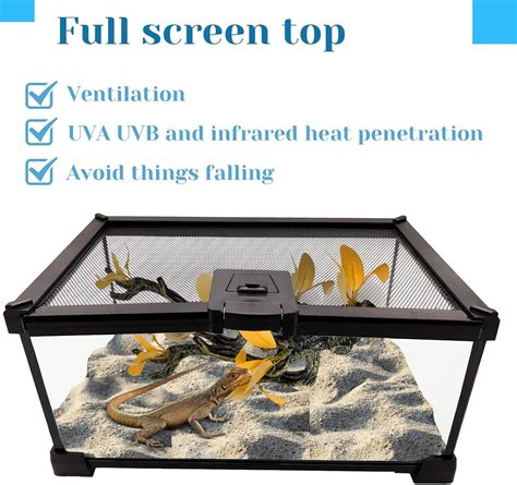 Buy kathson 12x8x6 in Mini Reptile GlassTerrarium Tank, 3 Gallon Full ...