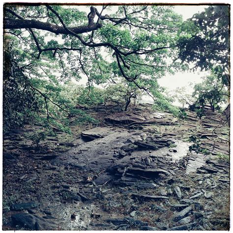Lost And Found In The Sharavathi Valley | Nature inFocus