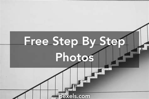 Step by Step Archive 的图像结果