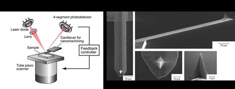 Image result for AFM Explained Microscope