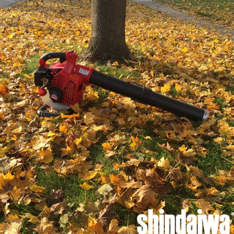 The Shindaiwa EB262... - Stark Street Lawn and Garden | Facebook