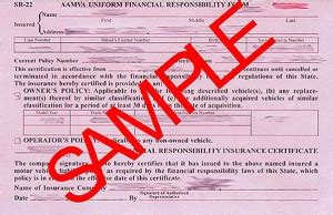 Image result for SR22 Insurance Form