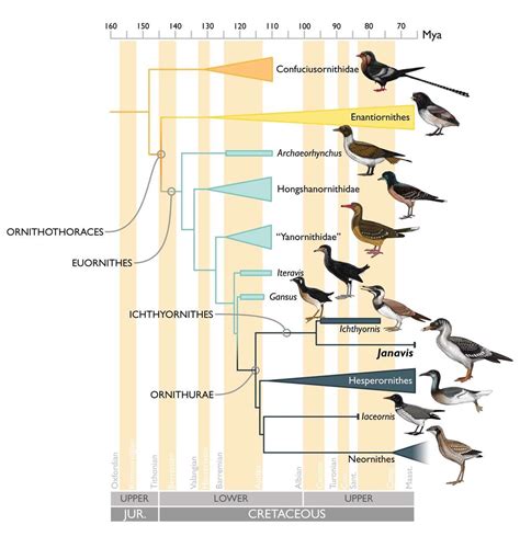University of Cambridge discovery overturns more than a century of understanding about the ...