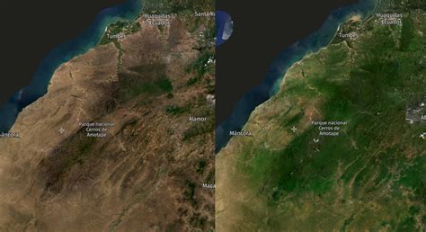 El otro lado de las lluvias: el resurgir de los bosques secos durante ...