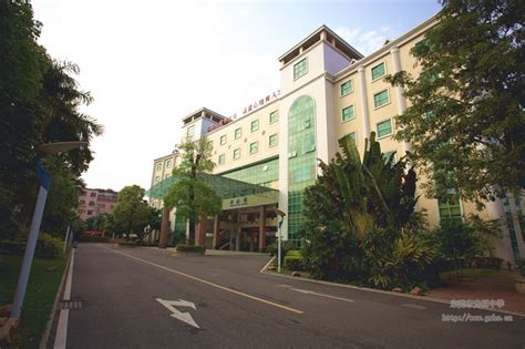 东莞国际商务区北部学校：预计近期完成相关手续办理并进场施工
