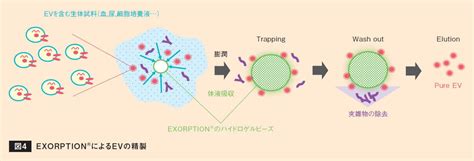 Image result for Humidity Testing Kit