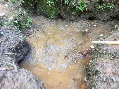 Image result for Spring Water Collection