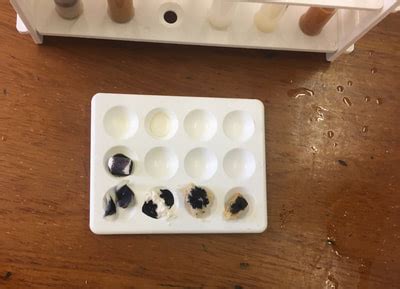 Image result for Emulsification Test Kit