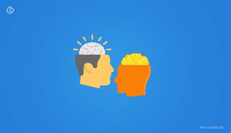 Human Centered Design - Overview And Process | Acodez