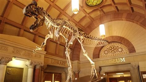 ORTON GEOLOGICAL MUSEUM (2025) All You Need to Know BEFORE You Go (with ...