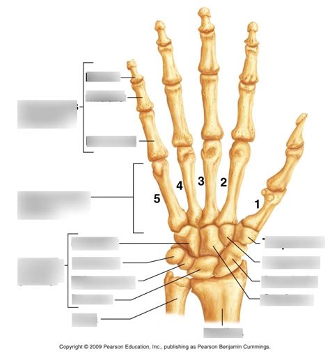 Image result for Hand Labeling