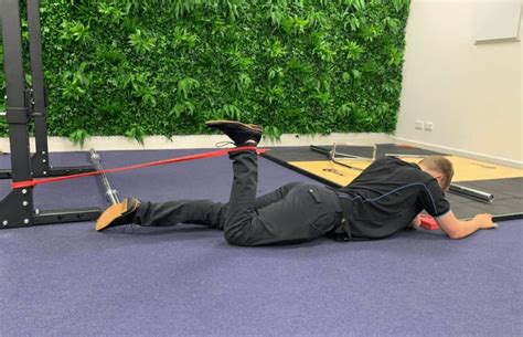 Beginner Hamstring Exercises 的图像结果