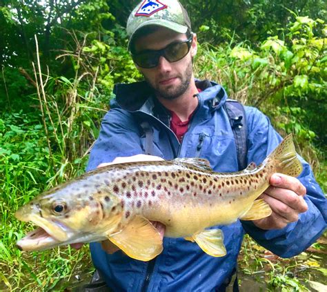 Image result for Letort Spring Run