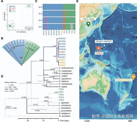 SCP 4307 的图像结果