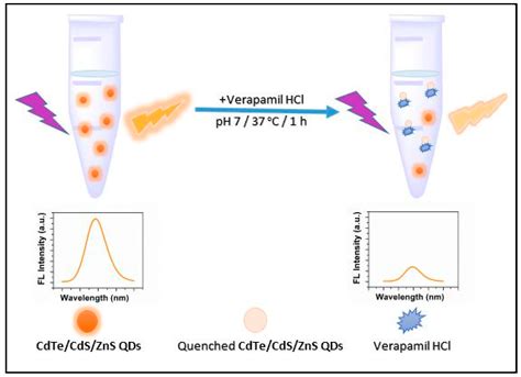 Determination of Verapamil HCl in Pharmaceutical Preparations by a ...