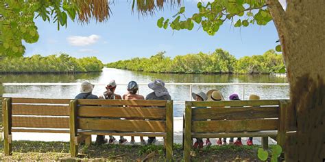 Collier-Seminole State Park | Florida State Parks