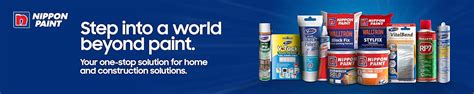 Amazon.in: Nippon Paint: SPRAY PAINT