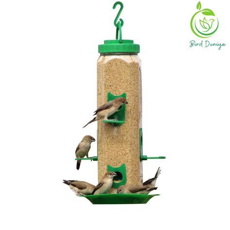 Bird duniya Hexagon Shaped Bird Feeder – Birdduniya