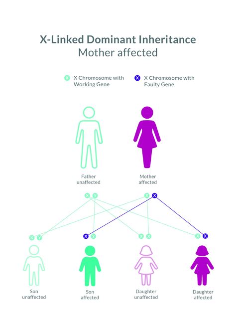X-linked Hypophosphataemia - Metabolic Support UK