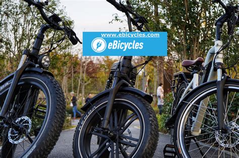 For Fun Cycle 的图像结果