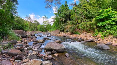 Image result for Water Stream Relaxation